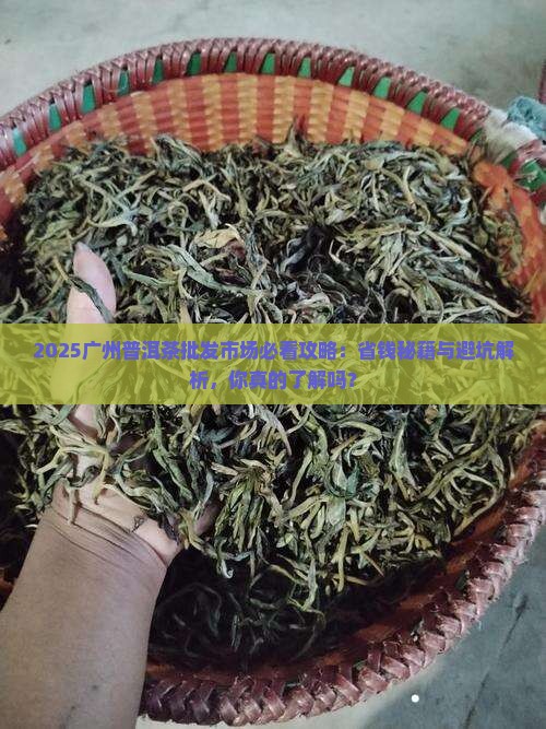 广州普洱茶批发市场