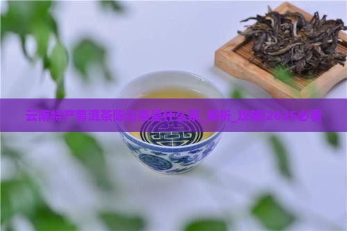云南特产普洱茶陈白茶是什么茶
