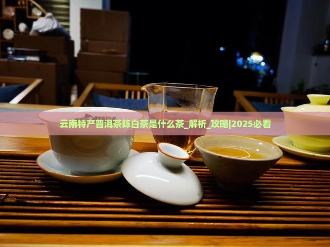 云南特产普洱茶陈白茶是什么茶