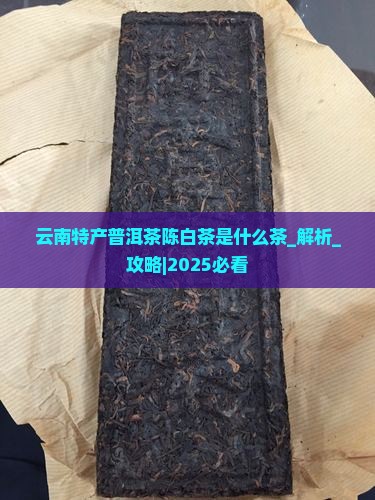 云南特产普洱茶陈白茶是什么茶