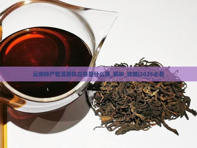 云南特产普洱茶陈白茶是什么茶