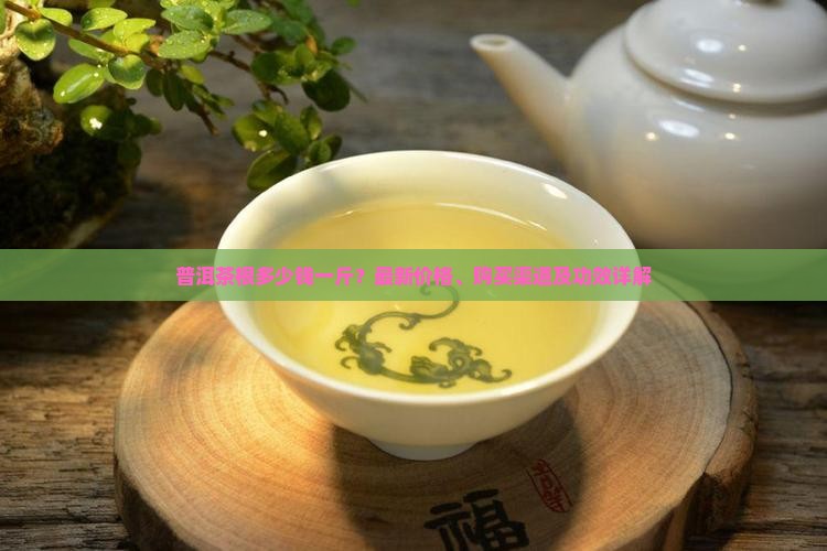 普洱茶根多少钱一斤