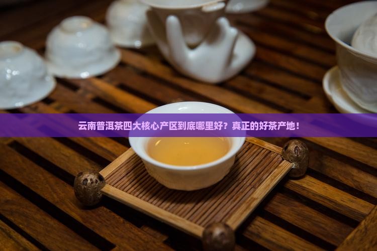 云南普洱茶四大核心产区