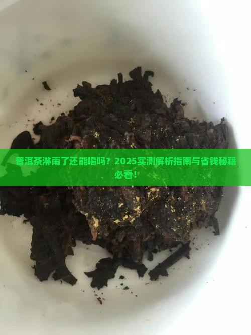 普洱茶淋了雨怎么办