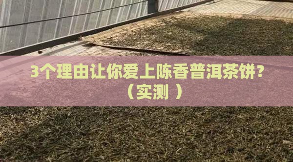 陈香普洱茶饼的功效