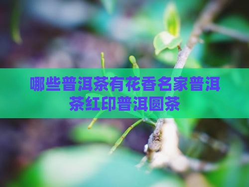 哪些普洱茶有兰花香名家普洱茶