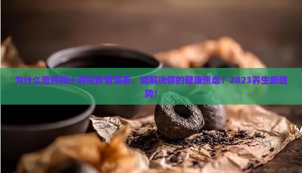 普秀牌小青柑皮普洱茶