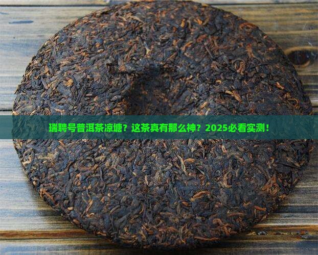 瑞聘号普洱茶凉塘