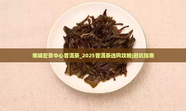南城宏景中心普洱茶