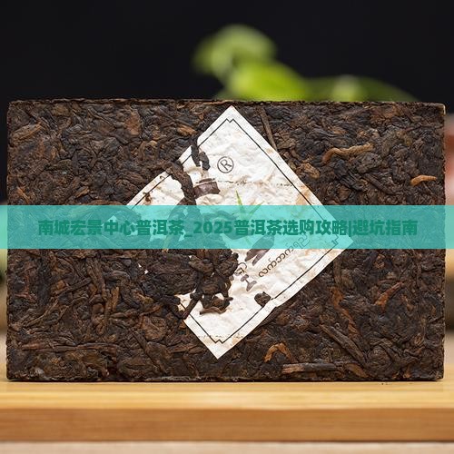 南城宏景中心普洱茶