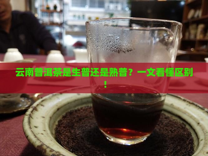 云南普洱茶是生普还是熟普