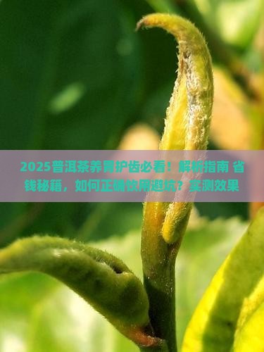 普洱茶养胃护齿