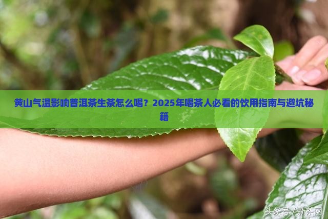 黄山气温普洱茶生茶怎么喝