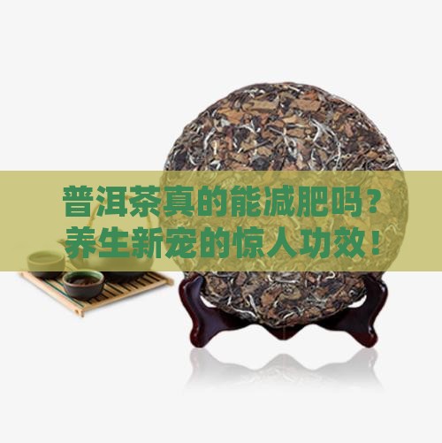普洱茶的介绍及功效作用
