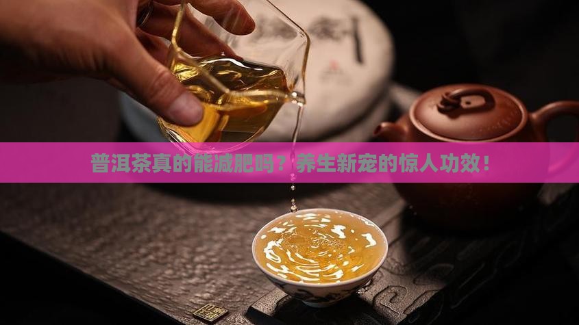 普洱茶的介绍及功效作用