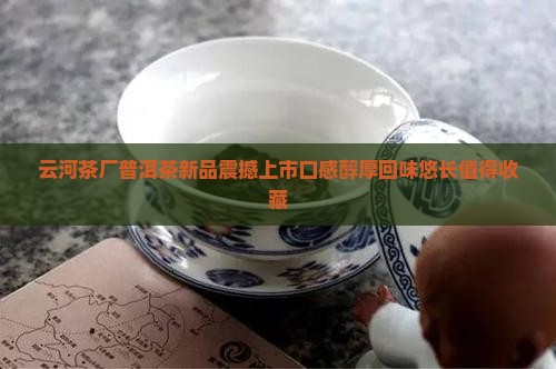 云河茶厂普洱茶新品