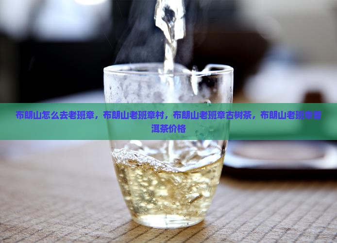 布朗山怎么去老班章