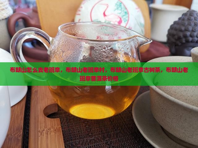 布朗山怎么去老班章