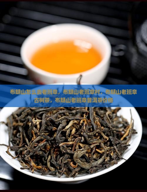 布朗山怎么去老班章