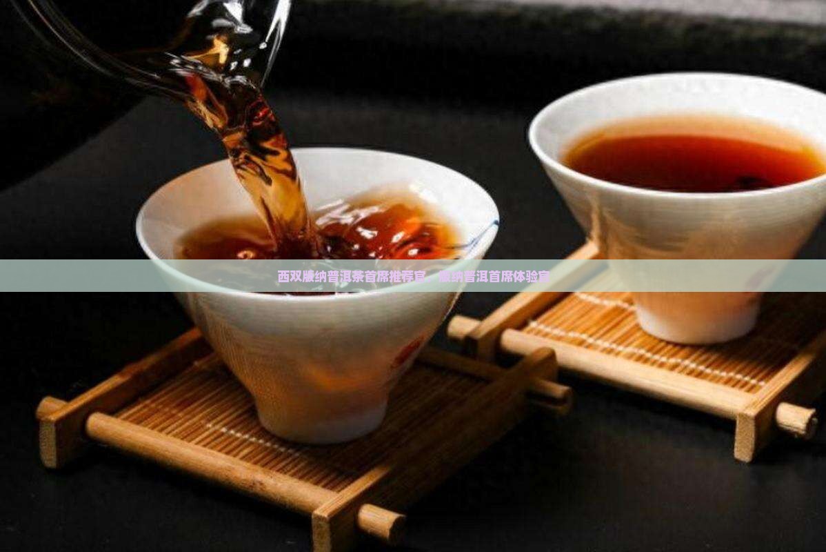 云南西双版纳普洱茶首席推荐官