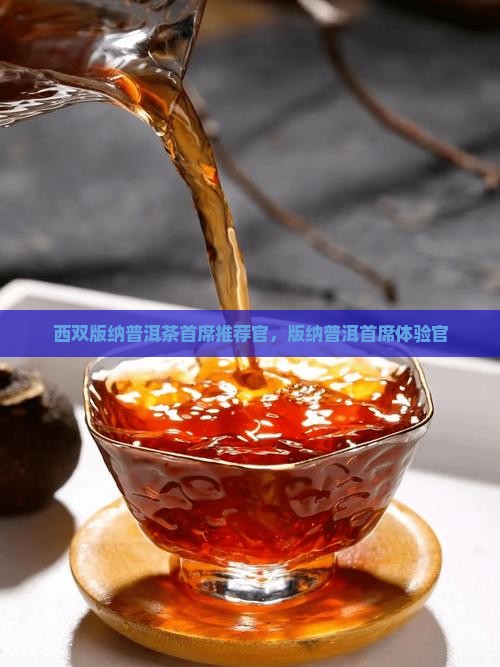 云南西双版纳普洱茶首席推荐官