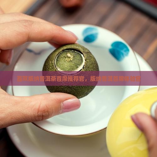 云南西双版纳普洱茶首席推荐官