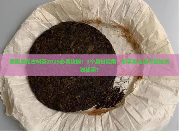 象明曼松古树茶