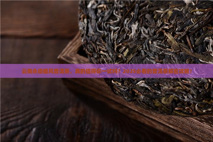云南永德雄风普洱茶