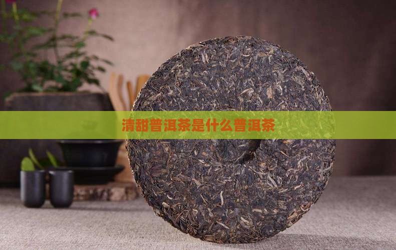 清甜型普洱茶是什么茶