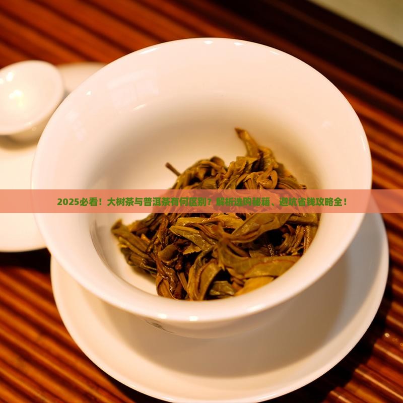 大树茶和普洱茶有什么区别