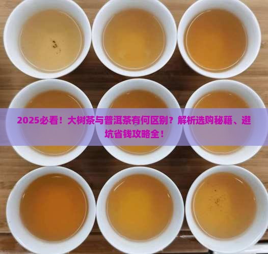 大树茶和普洱茶有什么区别