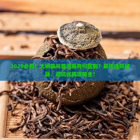 大树茶和普洱茶有什么区别