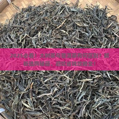 大树茶和普洱茶有什么区别