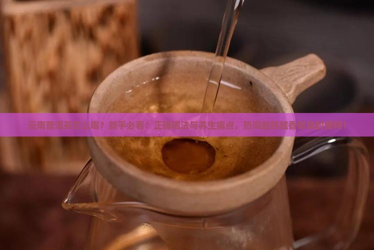 云南普洱茶是怎么喝的