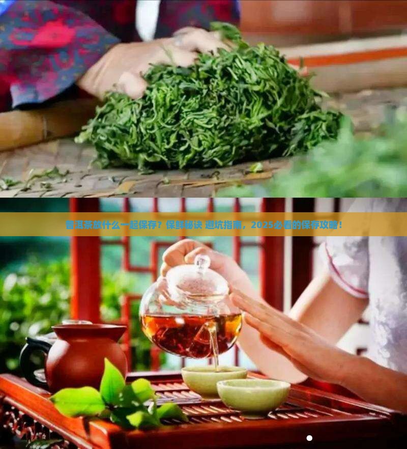 普洱茶放什么一起保存