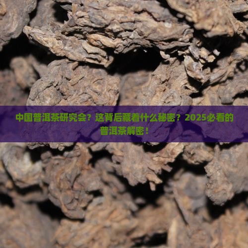 中国普洱茶研究会