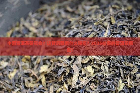 中国普洱茶研究会