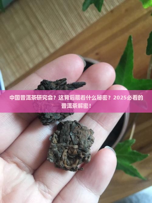 中国普洱茶研究会