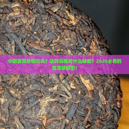 中国普洱茶研究会