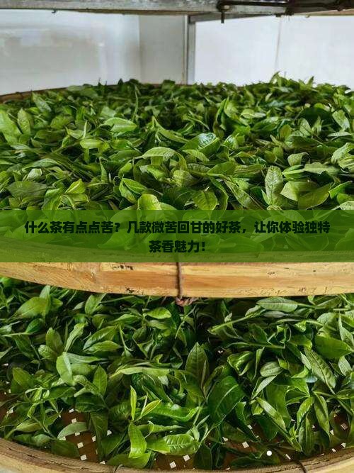 什么茶有点点苦