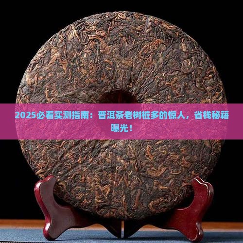 怎么形容普洱茶老树桩多