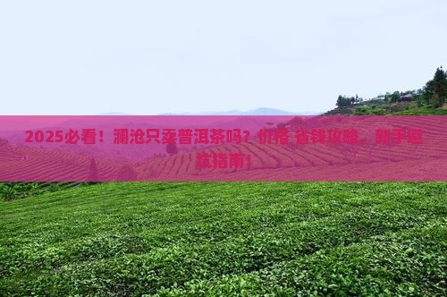 澜沧只卖普洱茶吗现在多少钱