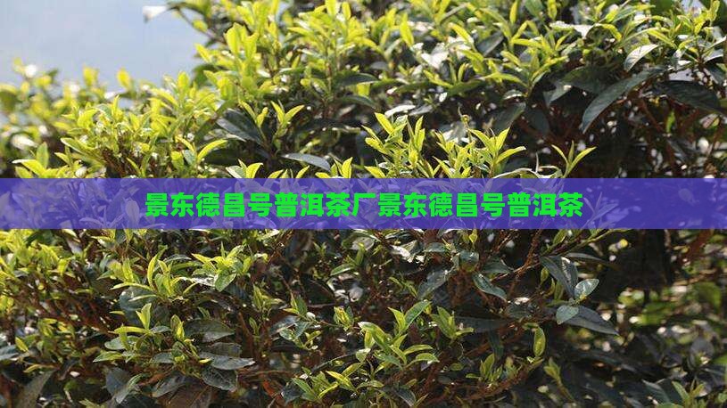 景东德昌号普洱茶