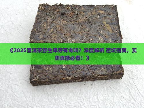 普洱茶野生单芽有毒吗
