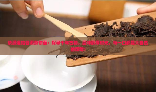 茶源道始普洱茶饼面