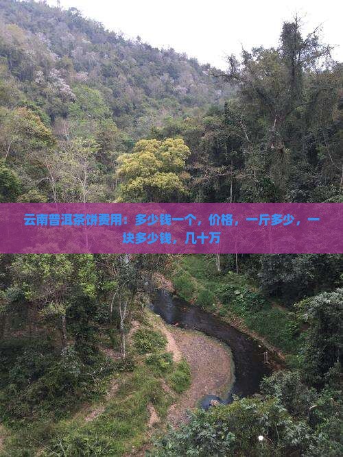 云南普洱茶饼费用