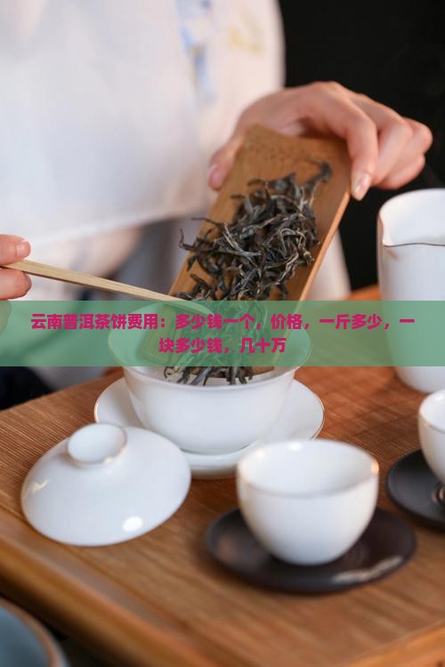 云南普洱茶饼费用