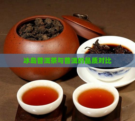 冰岛老头普洱茶怎么样