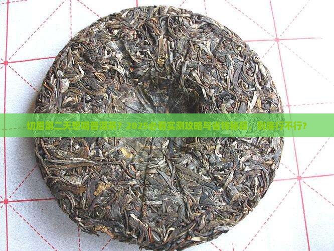 切眉第二天可以喝普洱茶吗