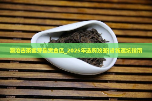 澜沧古茶紫芽瑞贡金瓜